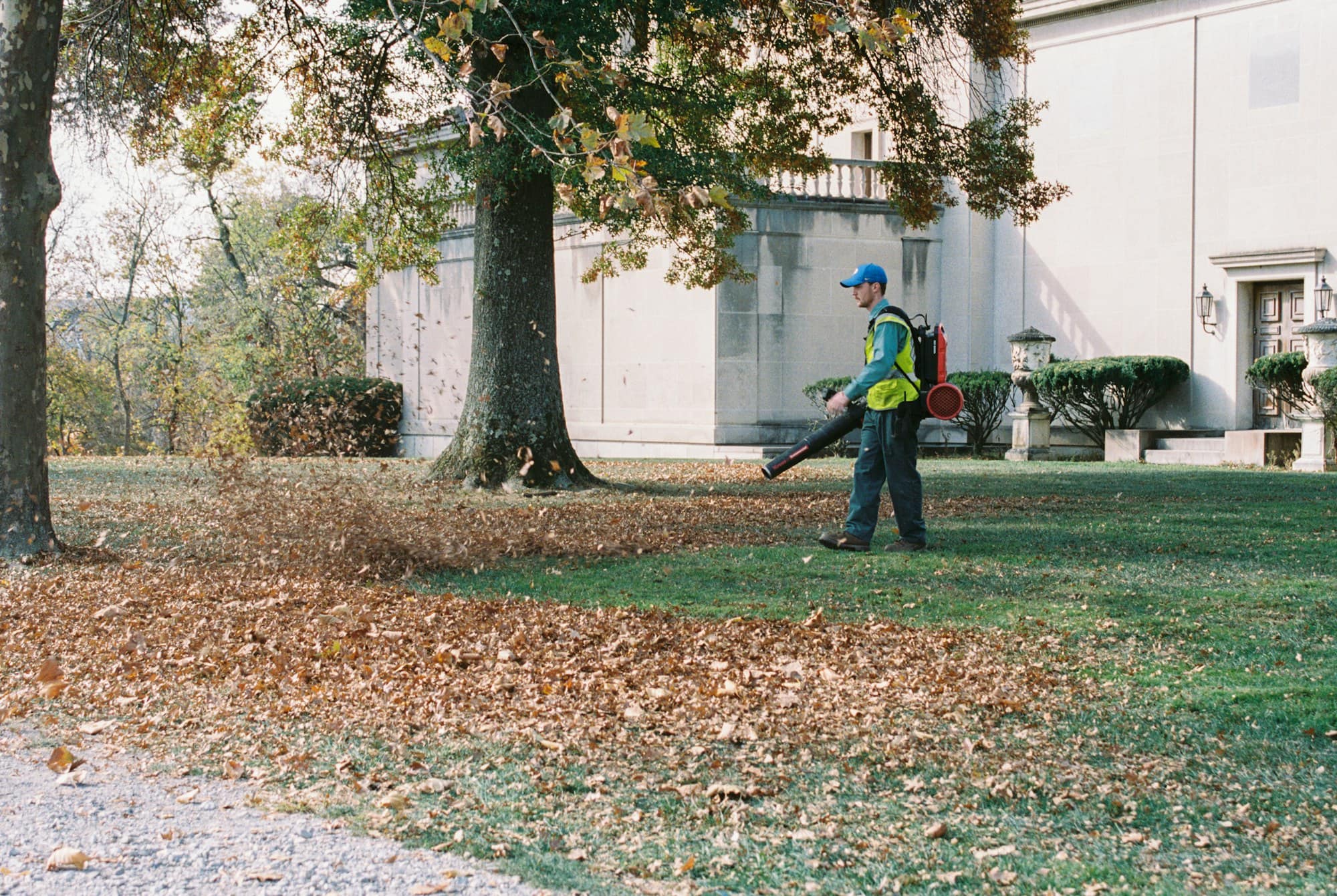 Groundskeeper using a backpack leaf blower to clear fallen autumn leaves from a lawn under large trees