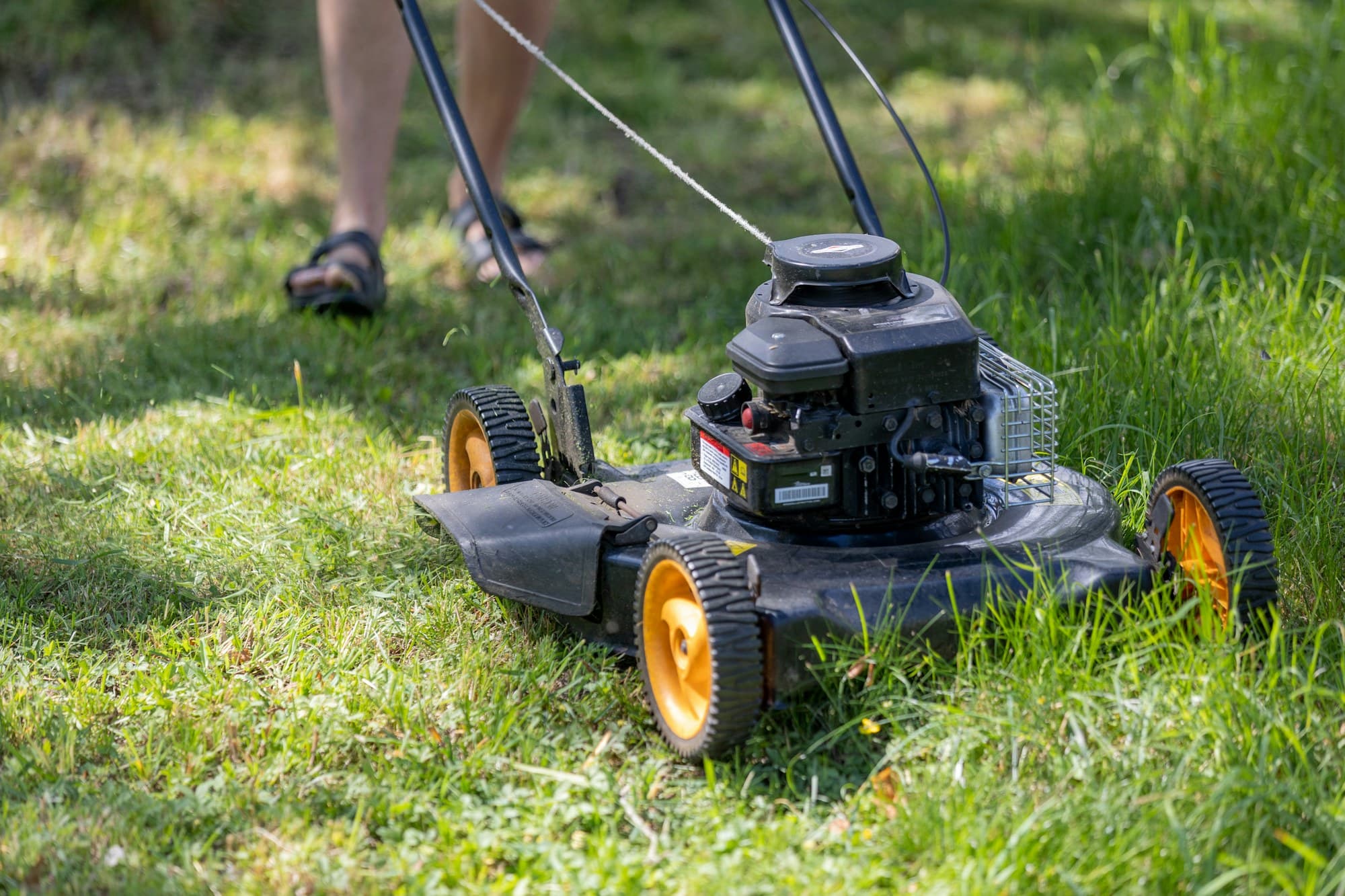 Close view of a petrol push mower cutting a green suburban lawn, freshly mown strip beside the uncut grass