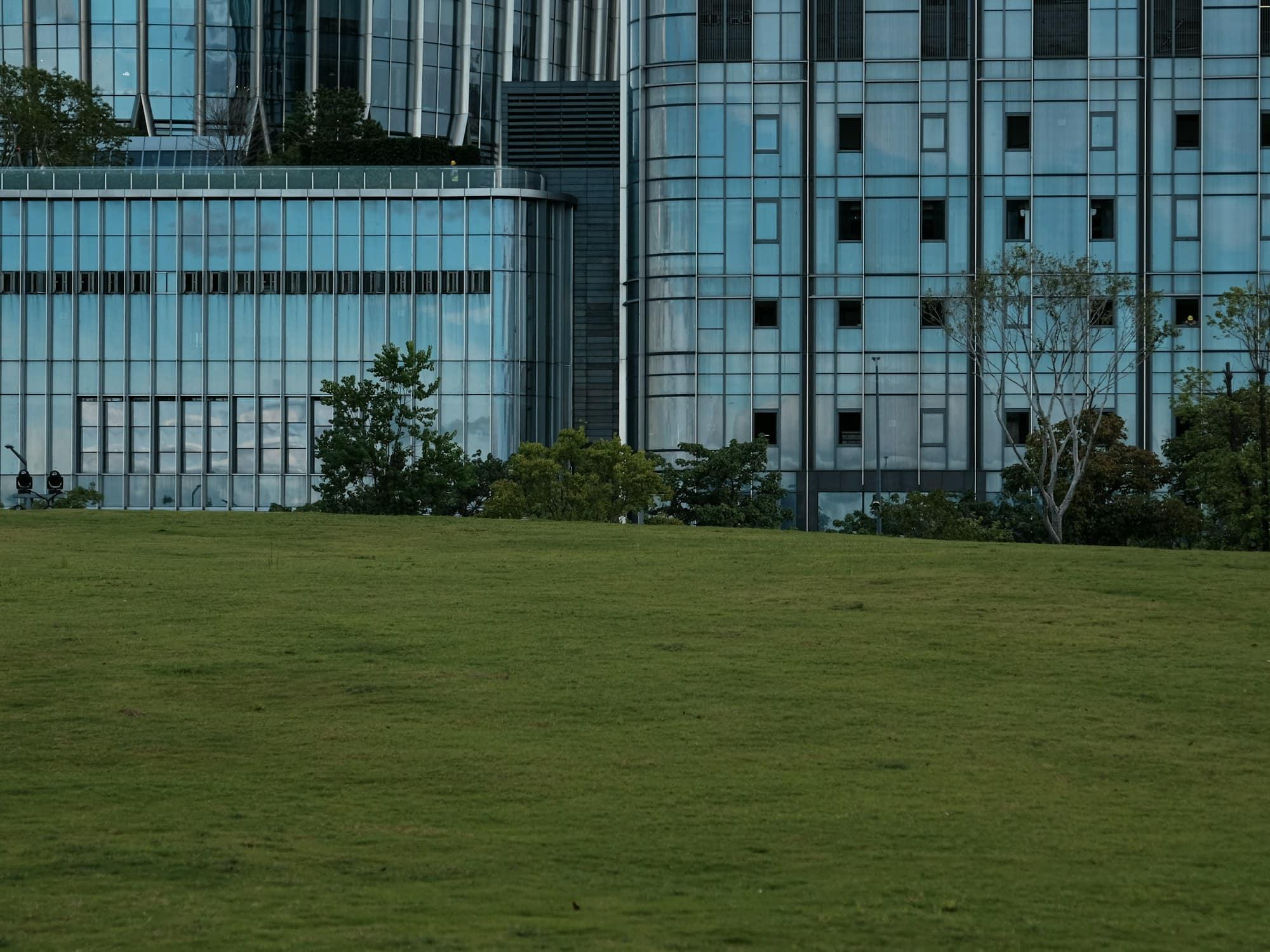 Neatly mown lawn in front of a modern glass office building