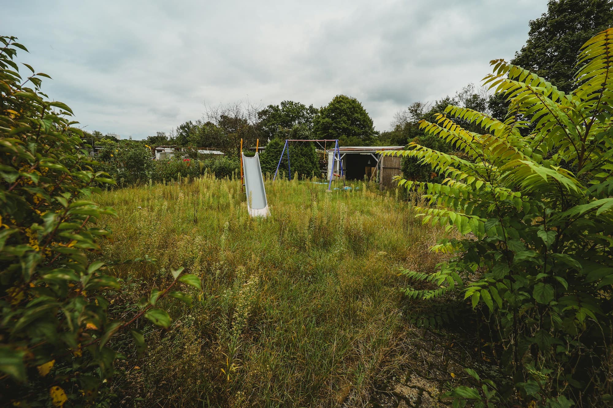Overgrown backyard with waist-high weeds and grass around a neglected play set